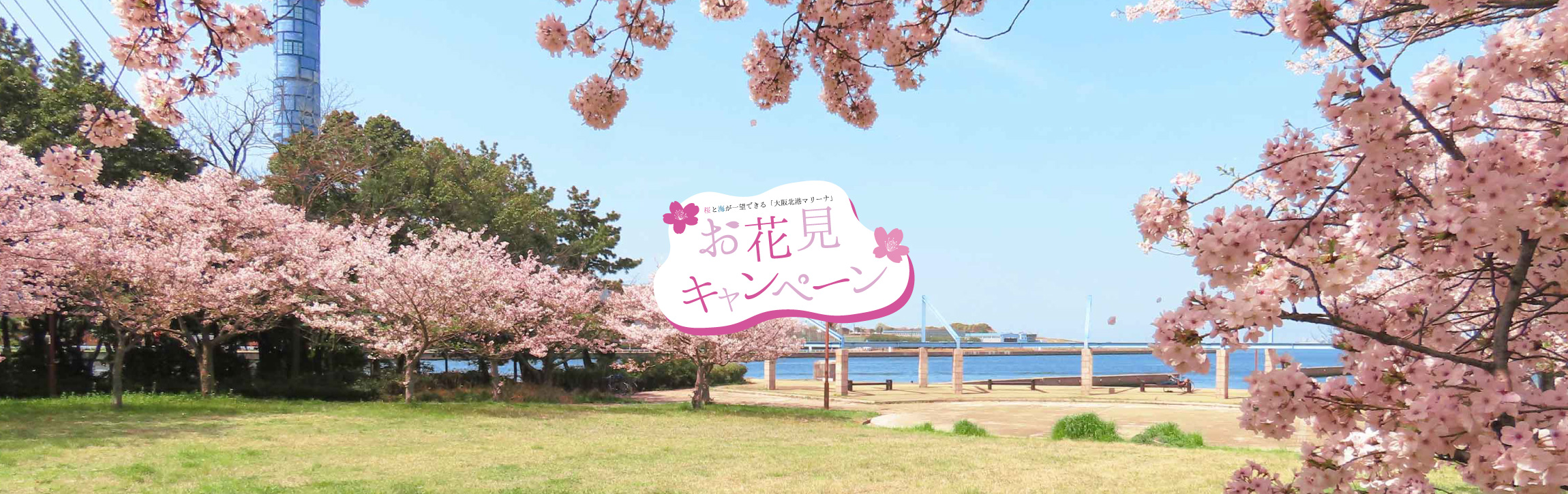 大阪北港マリーナお花見キャンペーン情報